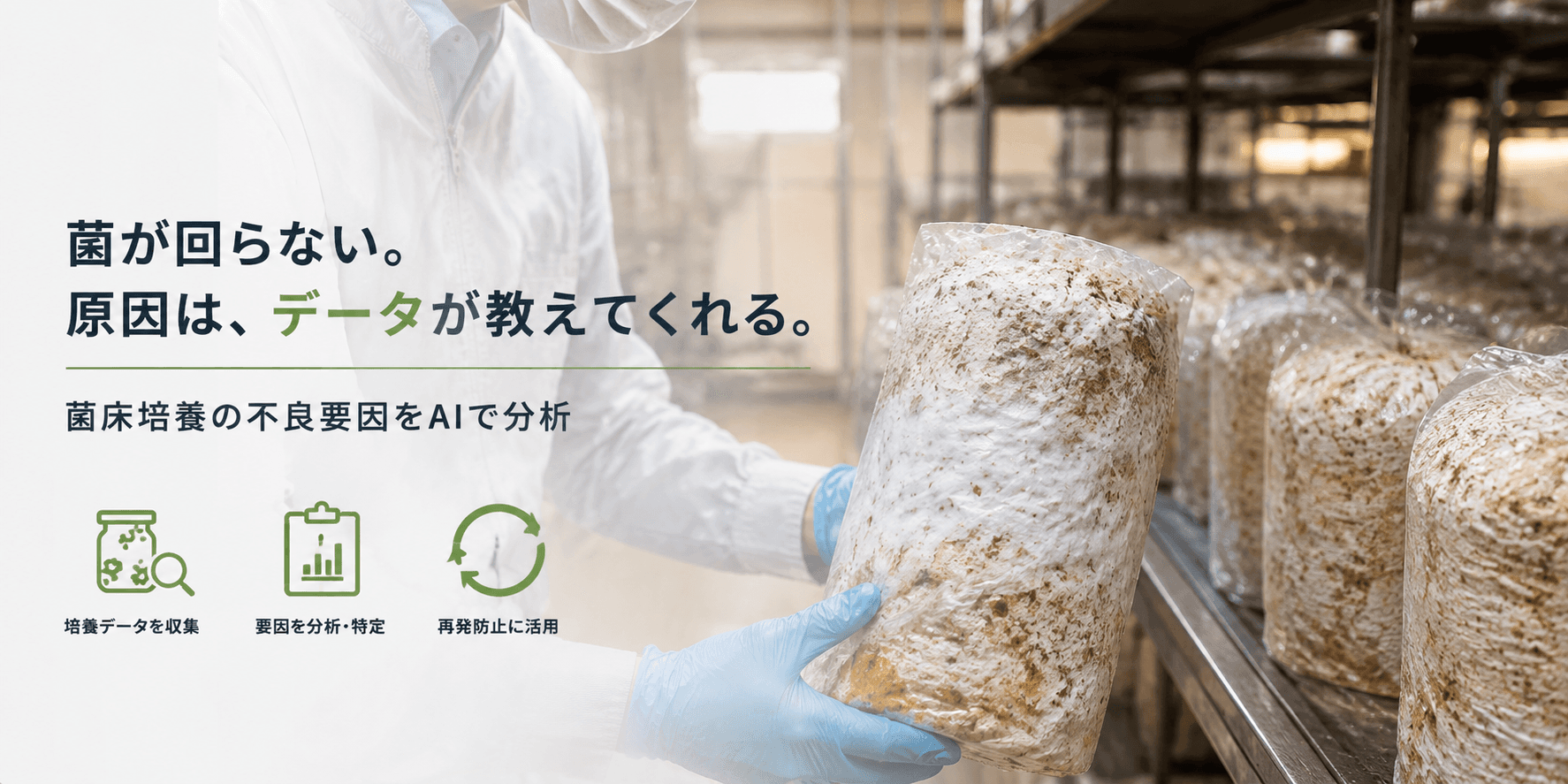菌が回らない。その原因はどこにある?菌床培養不良の要因をAIで分析
